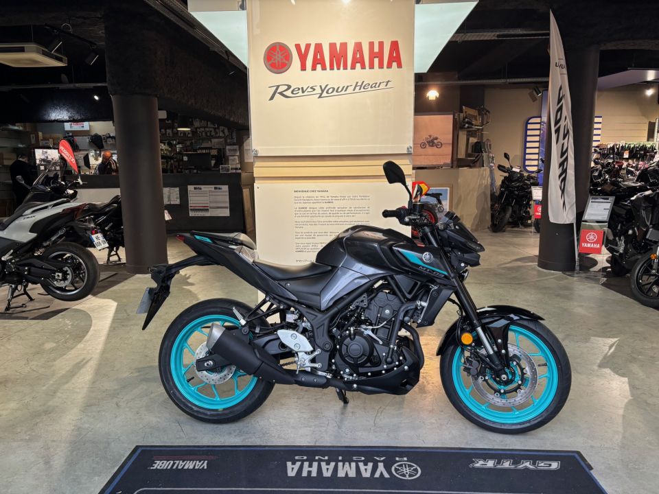 YAMAHA MT-03 300 4