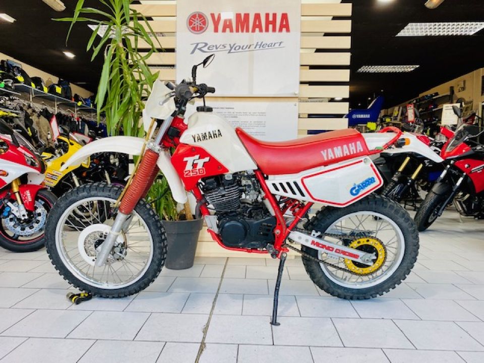 YAMAHA TT 250R 4
