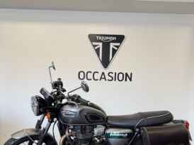 TRIUMPH Bonneville T100 GOLD LINE Edition - 2022