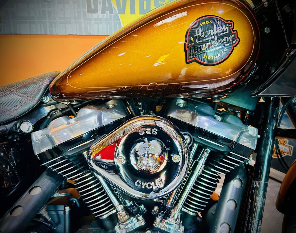 HARLEY-DAVIDSON SOFTAIL LOW RIDER 1923 ST 4