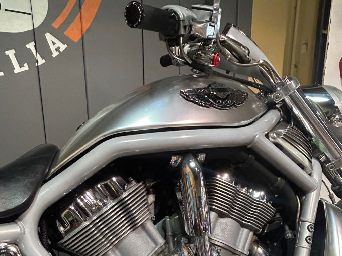 HARLEY-DAVIDSON V-ROD STREET ROD 1130 4