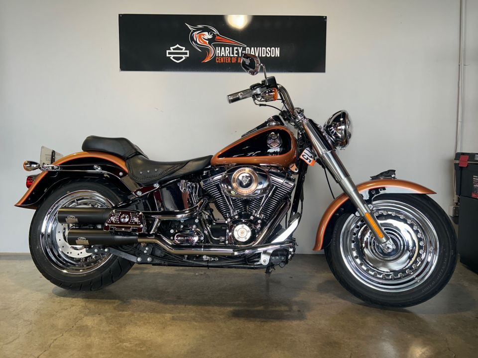 HARLEY-DAVIDSON SOFTAIL FAT BOY 1584 105Th 4