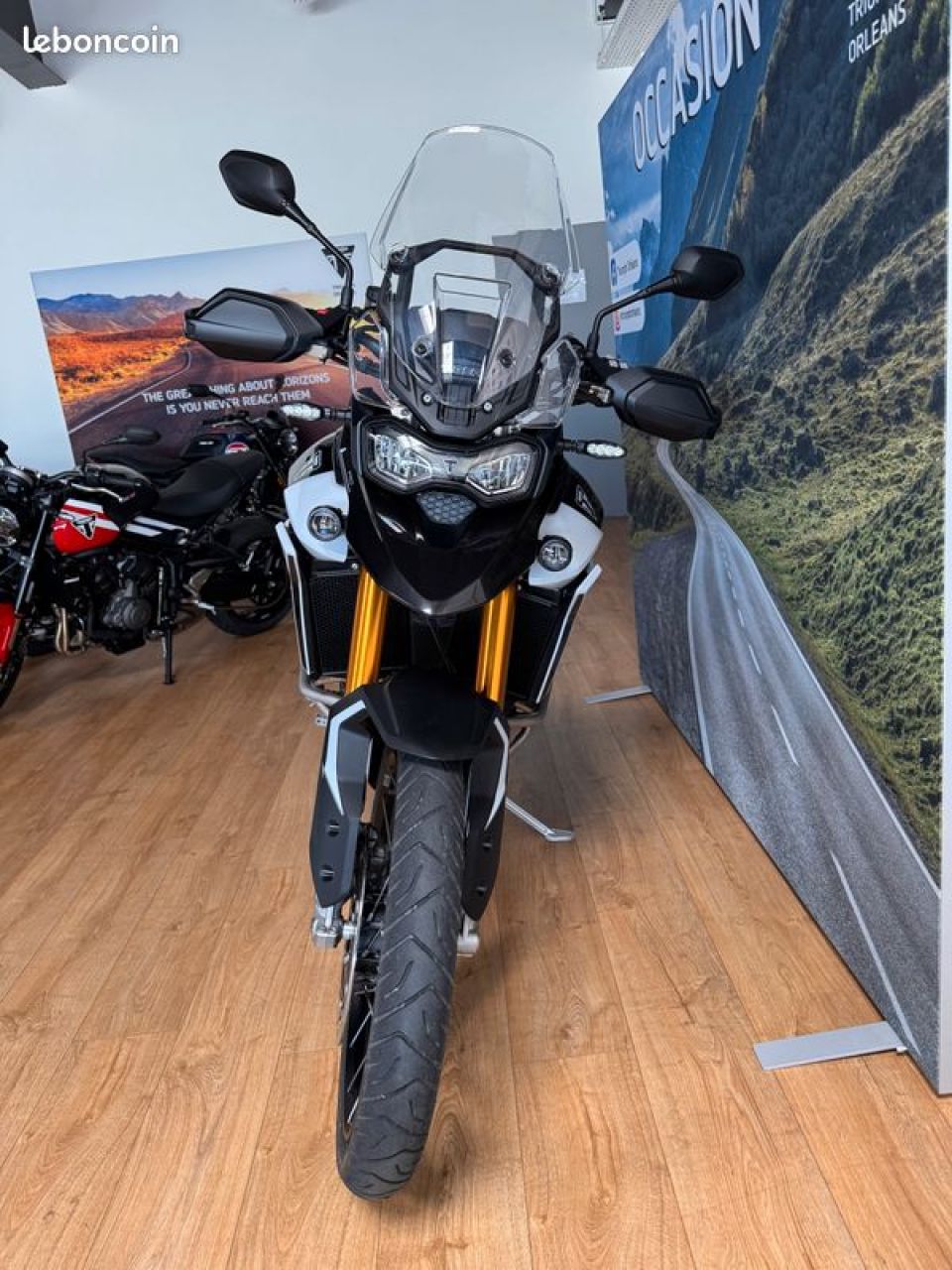 TRIUMPH TIGER 900 RALLY PRO 4