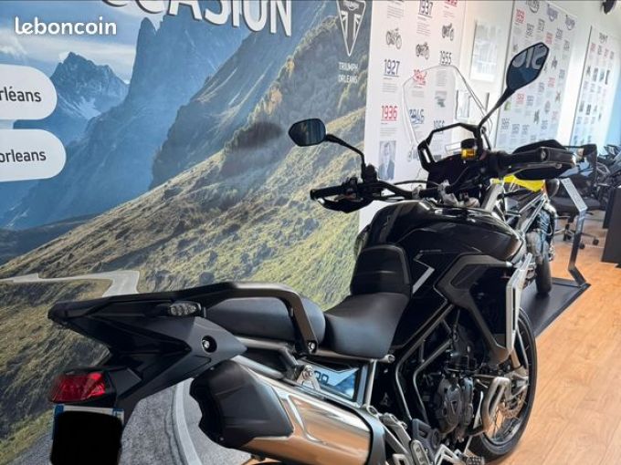 TRIUMPH TIGER 900 RALLY PRO 4