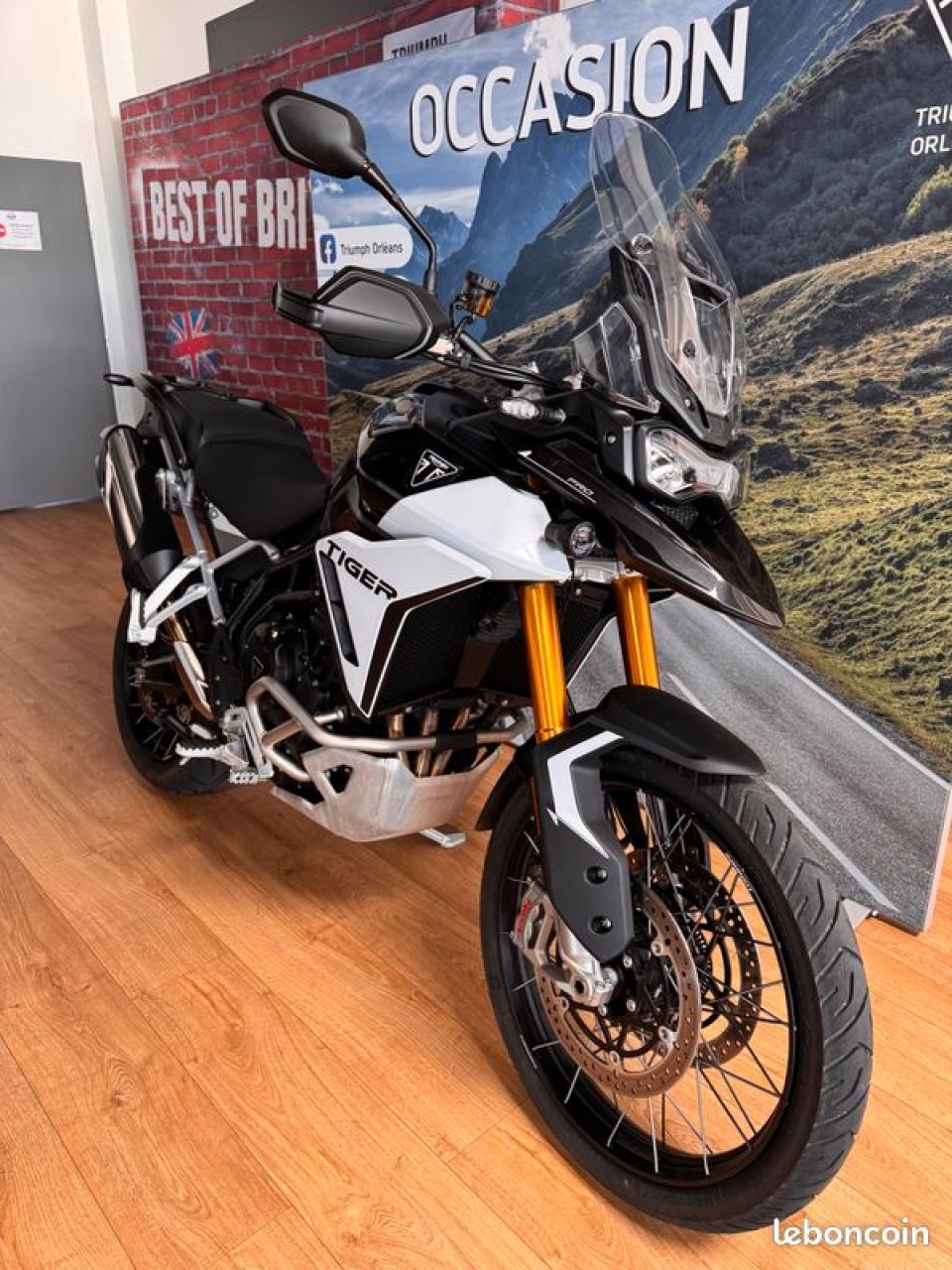 TRIUMPH TIGER 900 RALLY PRO 4