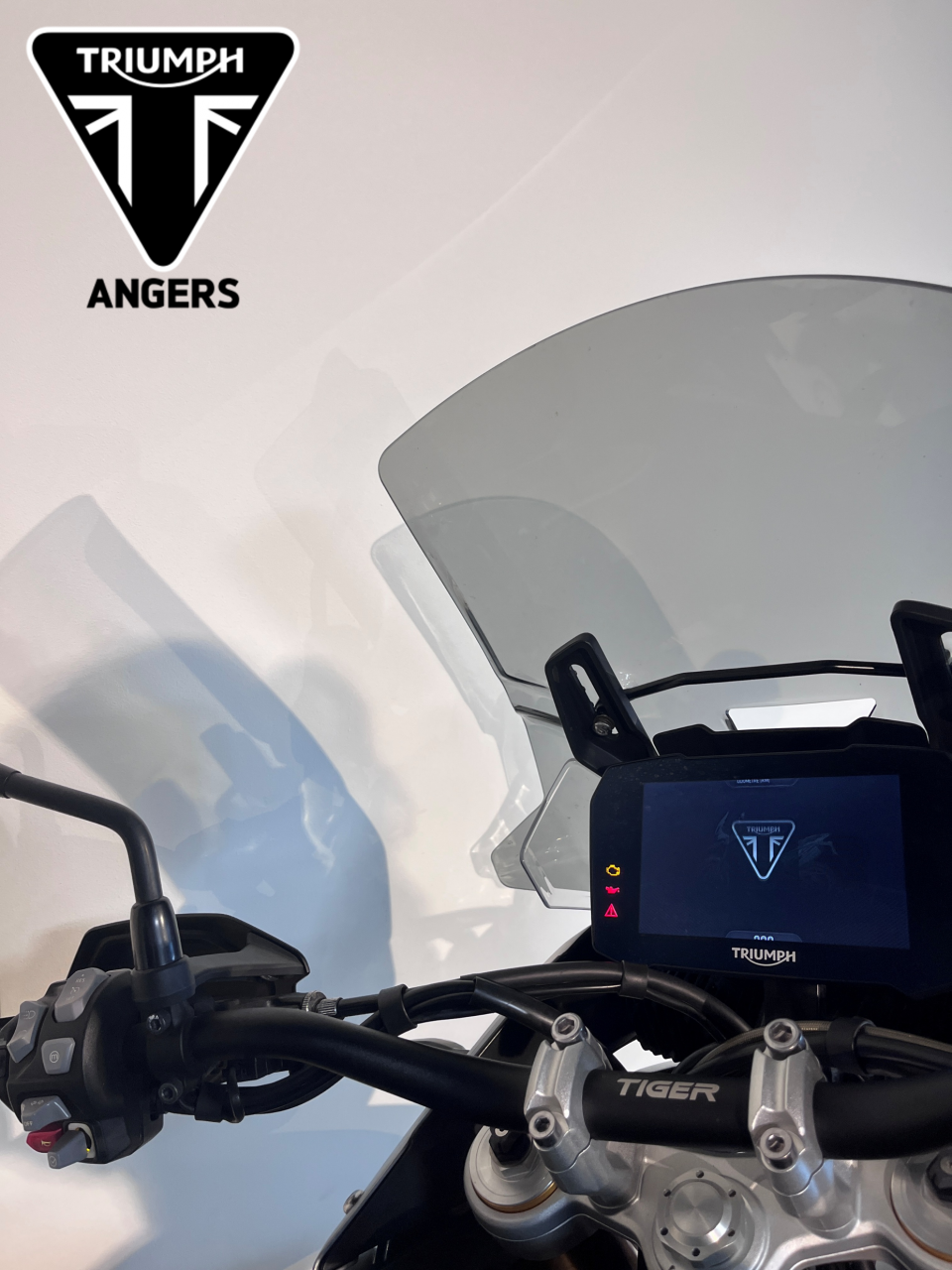 TRIUMPH TIGER 900 RALLY PRO 4