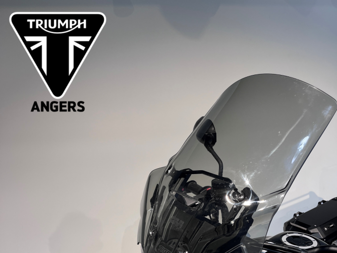 TRIUMPH TIGER 900 RALLY PRO 4