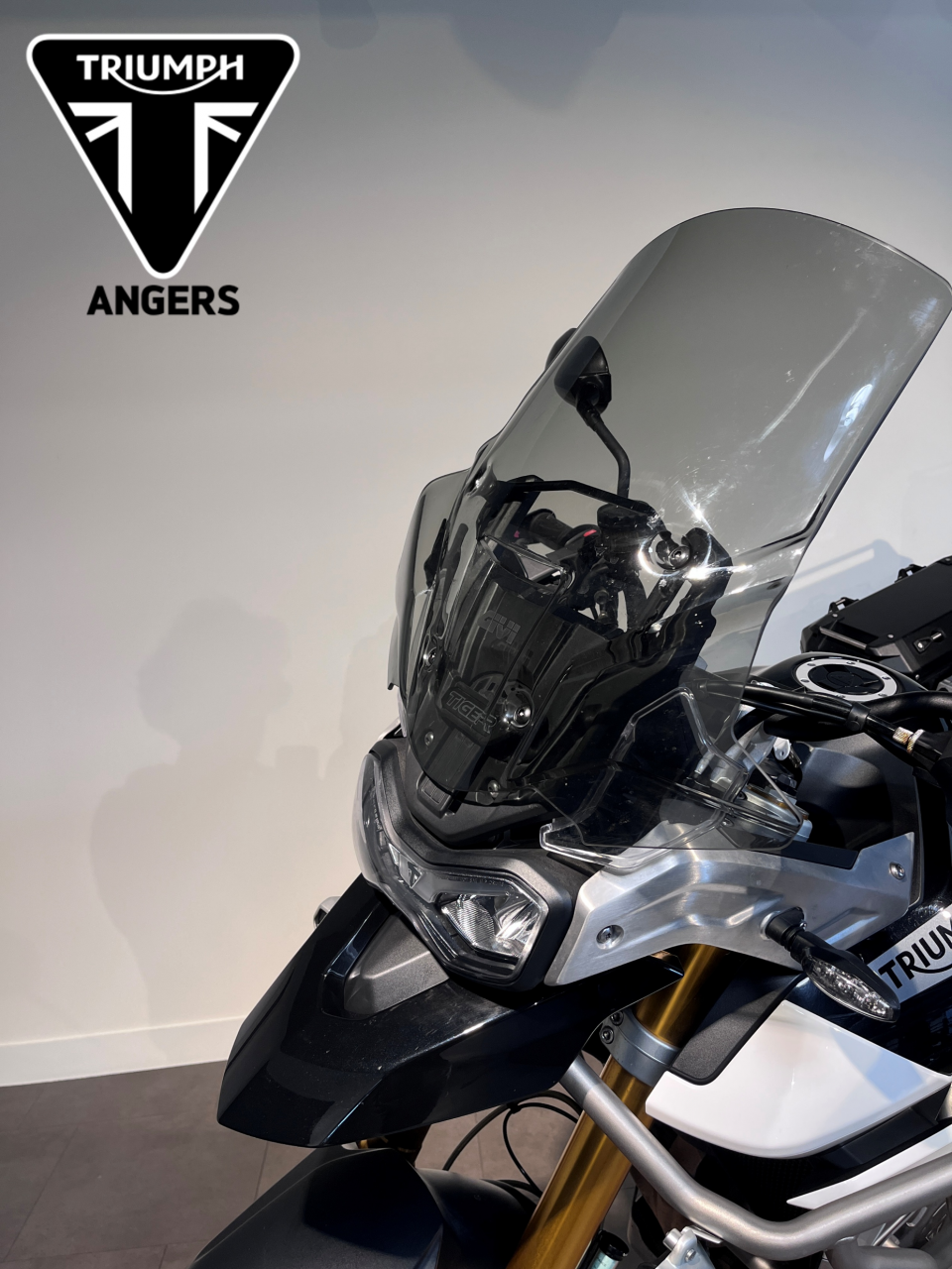 TRIUMPH TIGER 900 RALLY PRO 4