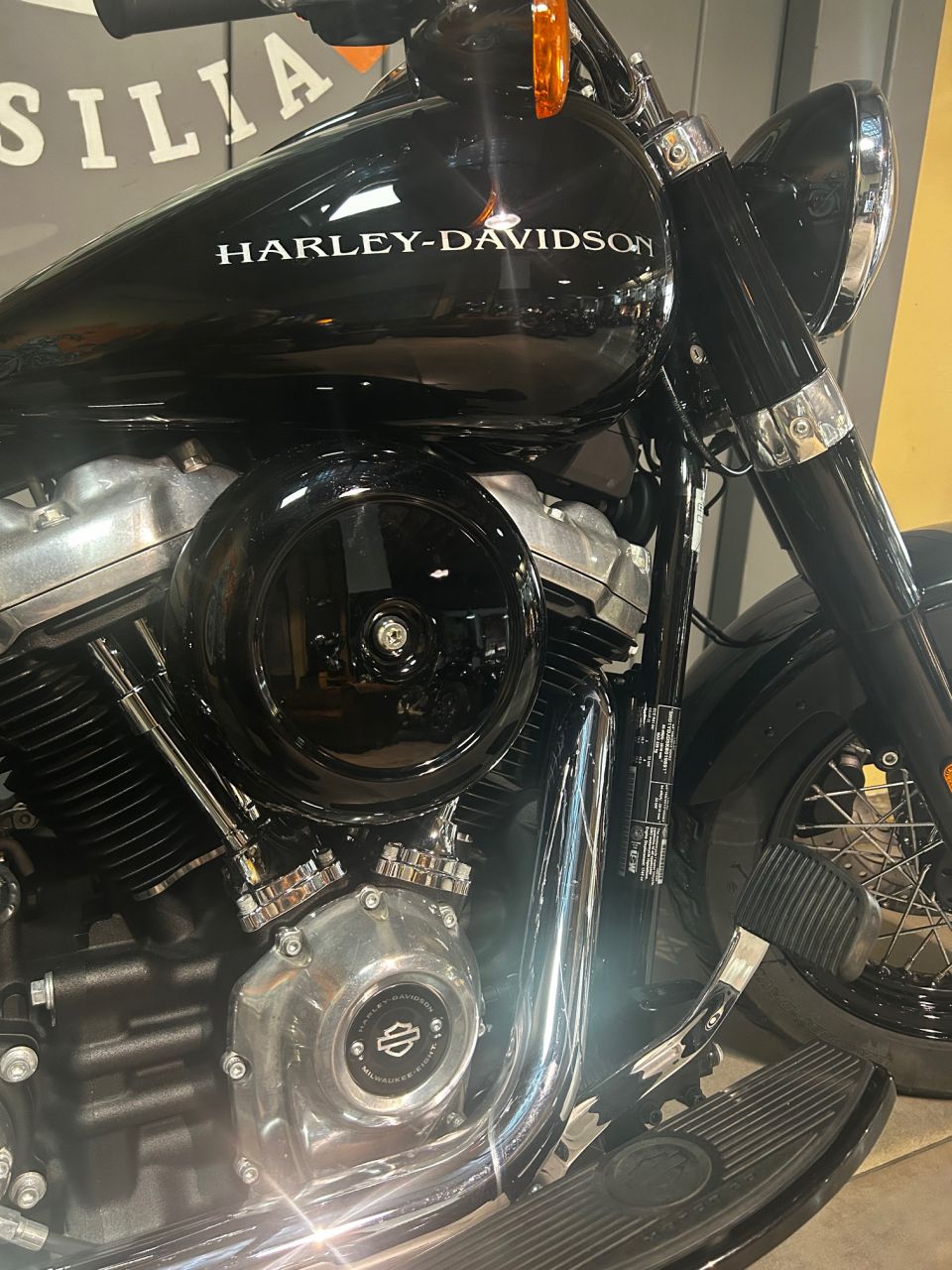 HARLEY-DAVIDSON SOFTAIL SLIM 1745 4