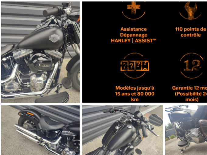 HARLEY-DAVIDSON SOFTAIL SLIM 1690 4