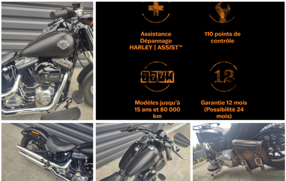 HARLEY-DAVIDSON SOFTAIL SLIM 1690 4