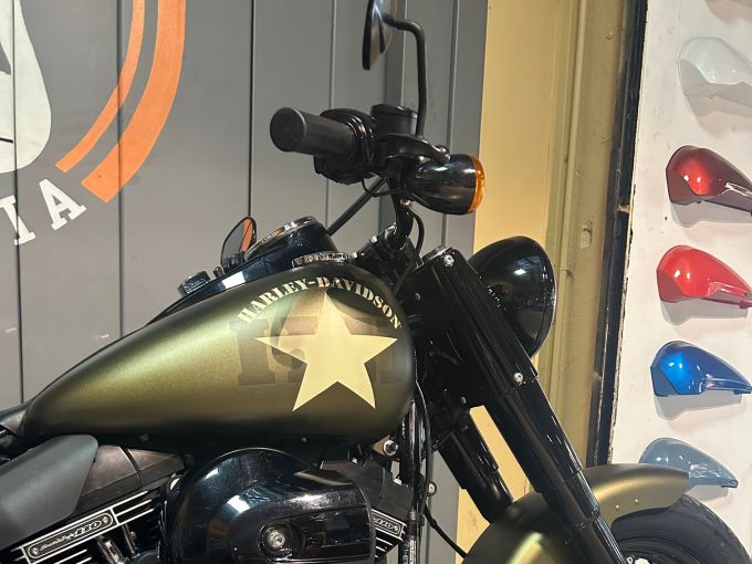 HARLEY-DAVIDSON SOFTAIL SLIM 1800 S 4