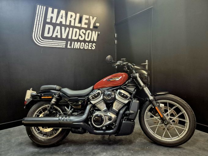 HARLEY-DAVIDSON SPORTSTER NIGHTSTER 975 SPECIAL 4