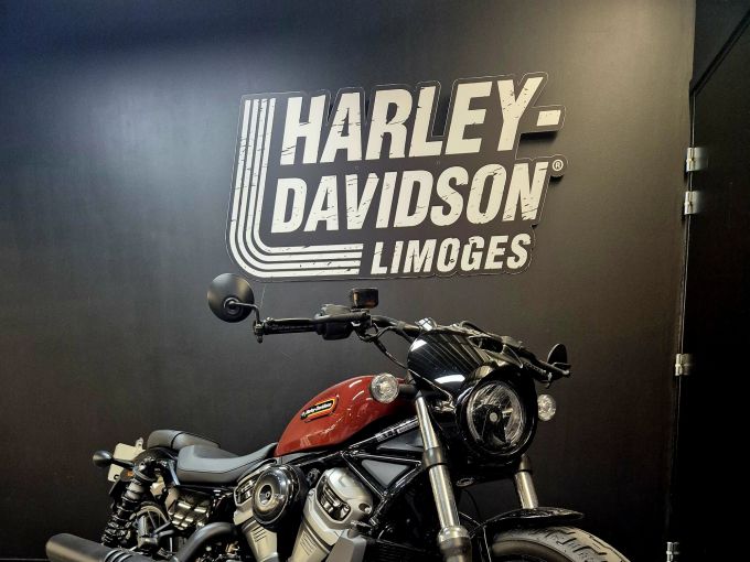 HARLEY-DAVIDSON SPORTSTER NIGHTSTER 975 SPECIAL 4