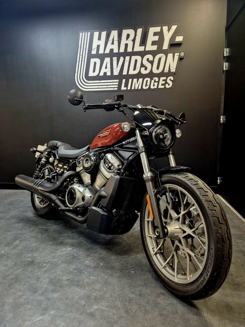 HARLEY-DAVIDSON SPORTSTER NIGHTSTER 975 SPECIAL 4