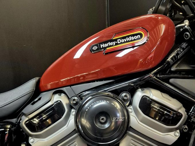 HARLEY-DAVIDSON SPORTSTER NIGHTSTER 975 SPECIAL 4