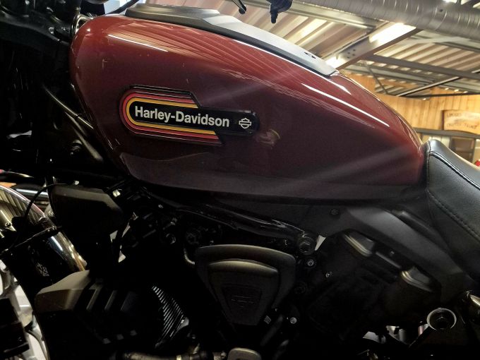 HARLEY-DAVIDSON SPORTSTER NIGHTSTER 975 SPECIAL 4