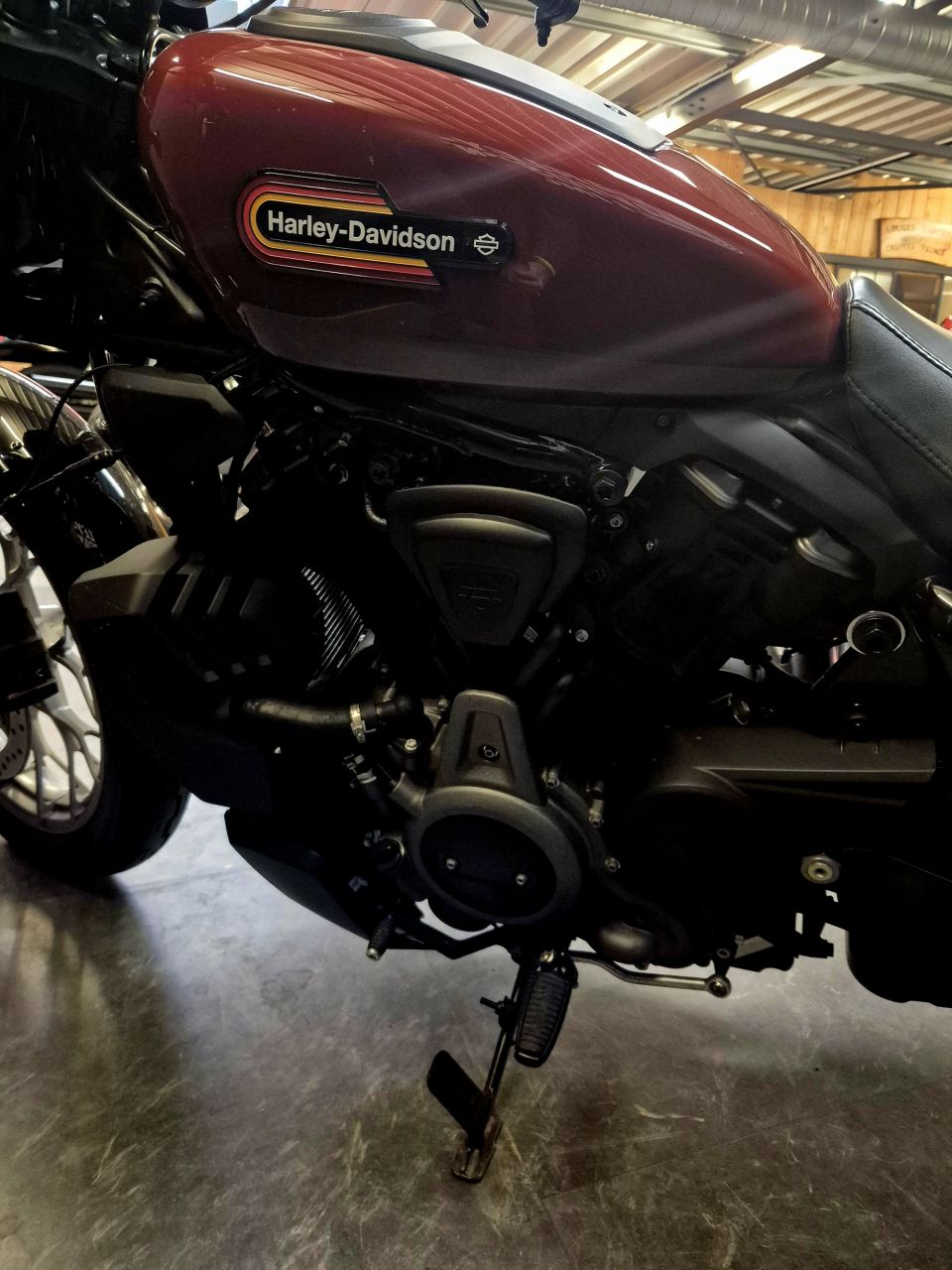 HARLEY-DAVIDSON SPORTSTER NIGHTSTER 975 SPECIAL 4