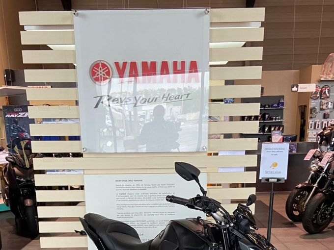 YAMAHA MT-09 4