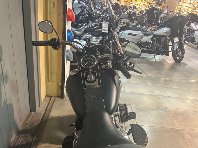 HARLEY-DAVIDSON SOFTAIL FAT BOY 1584 4