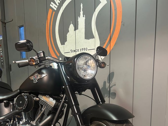 HARLEY-DAVIDSON SOFTAIL FAT BOY 1584 4