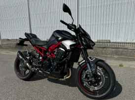 KAWASAKI Z900 PERFORMANCE - 2025