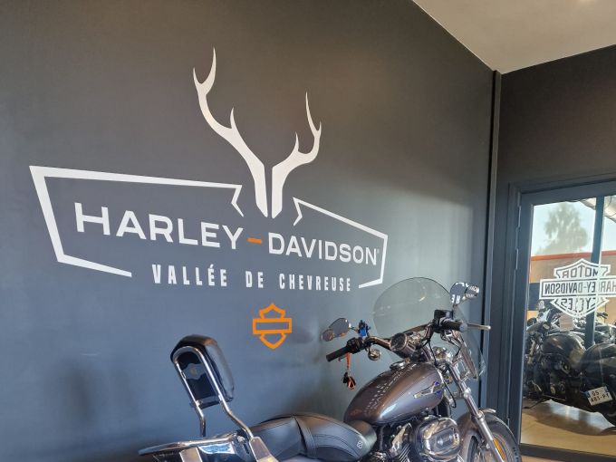 HARLEY-DAVIDSON SPORTSTER CUSTOM 1200 4