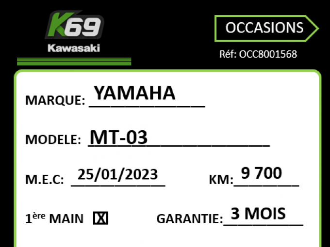 YAMAHA MT-03 4