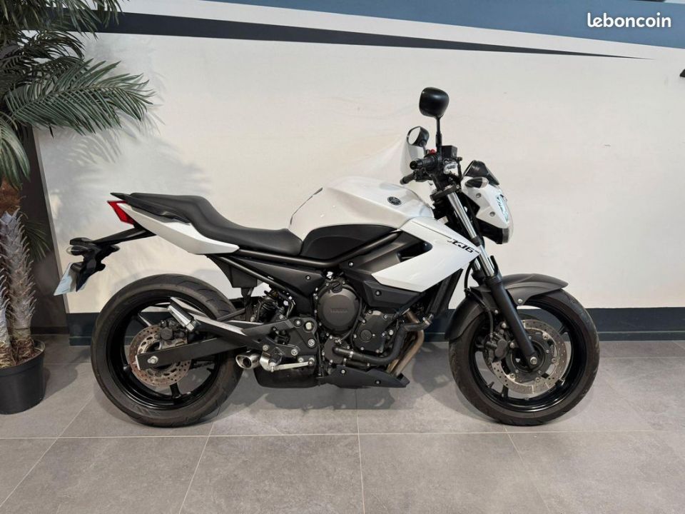 YAMAHA XJ6 (47.5CV) 4