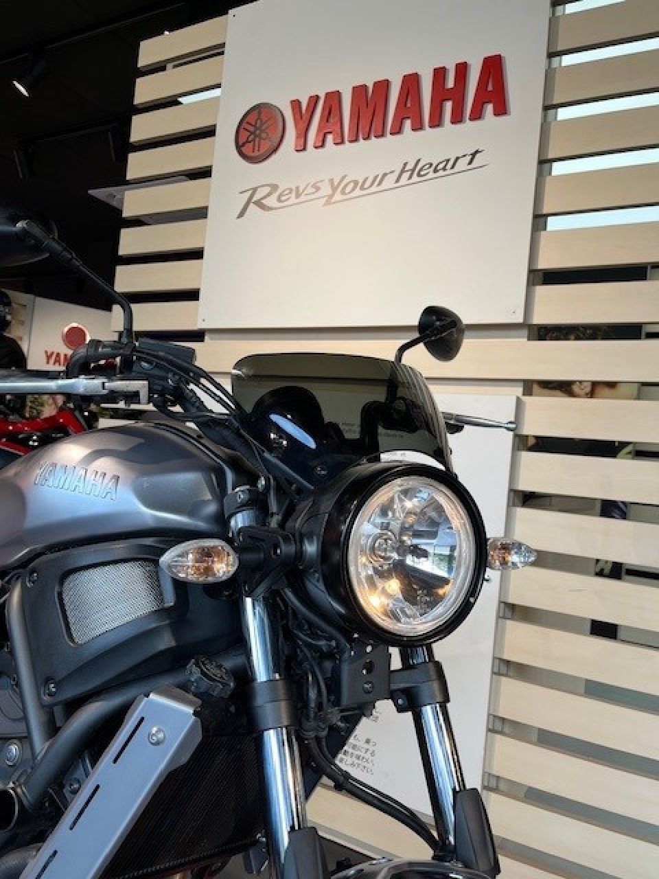 YAMAHA XSR 700 35KW 4