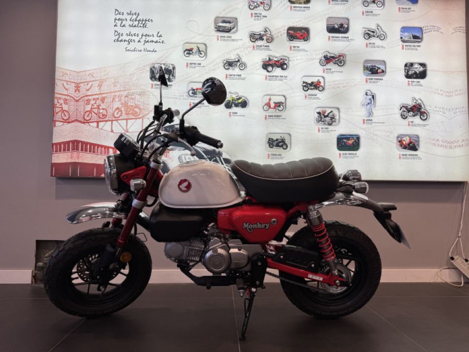 HONDA MONKEY 125 4
