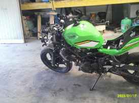 KAWASAKI Ninja 500 - 2025