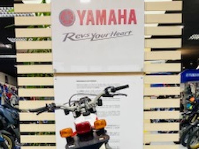YAMAHA YAMAHA TY 250 S 4