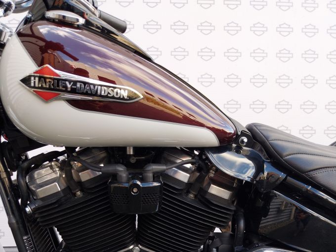 HARLEY-DAVIDSON SOFTAIL SLIM 1690 4