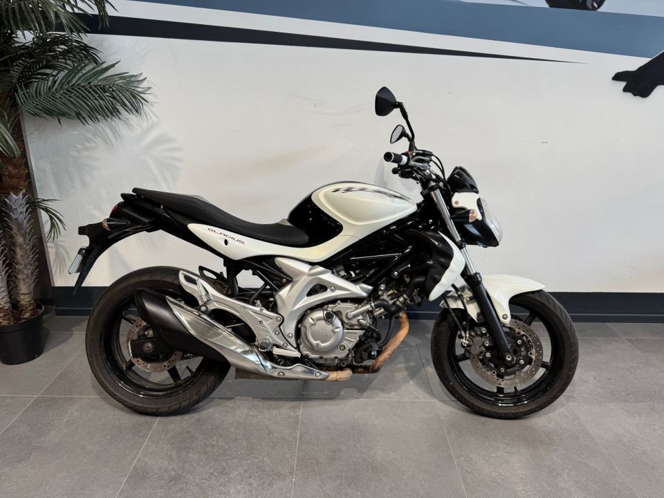 SUZUKI GLADIUS 650 4
