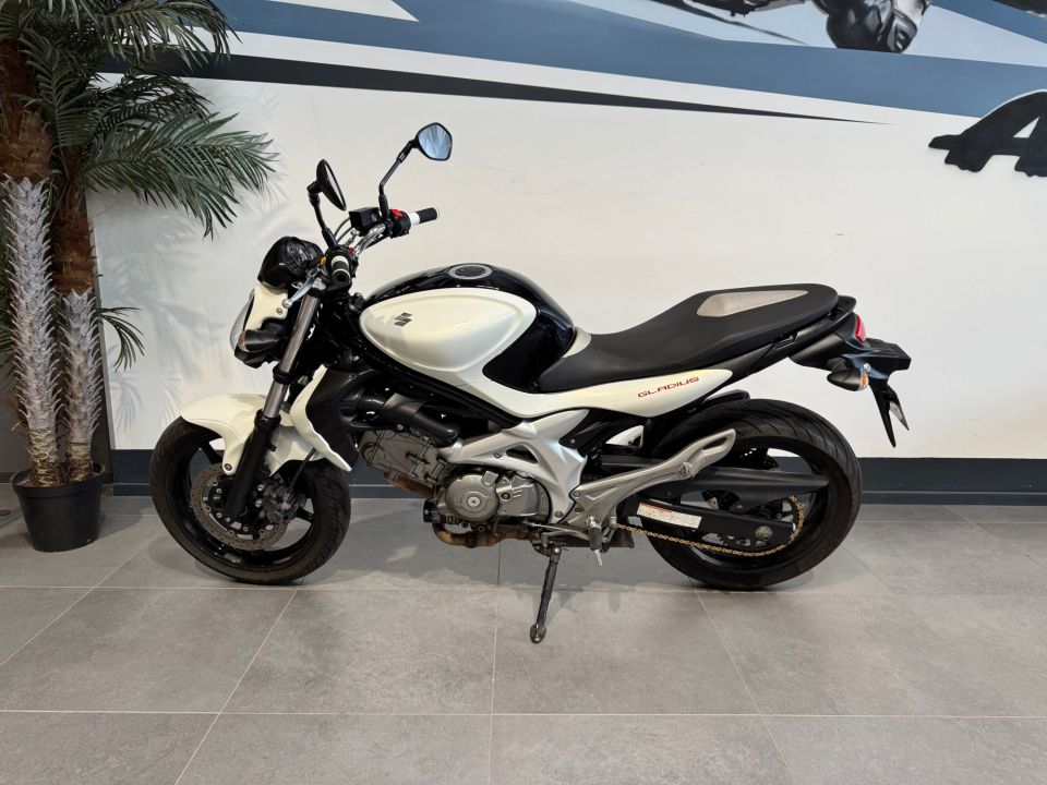 SUZUKI GLADIUS 650 4