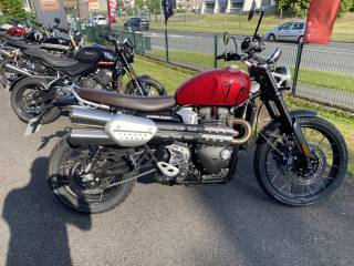 TRIUMPH SCRAMBLER 1200 - 2025