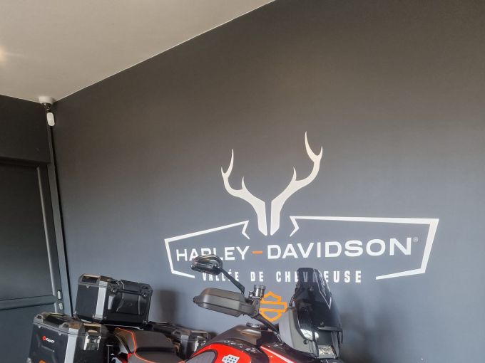 HARLEY-DAVIDSON ADVENTURE PAN AMERICA 1250 CVO 4