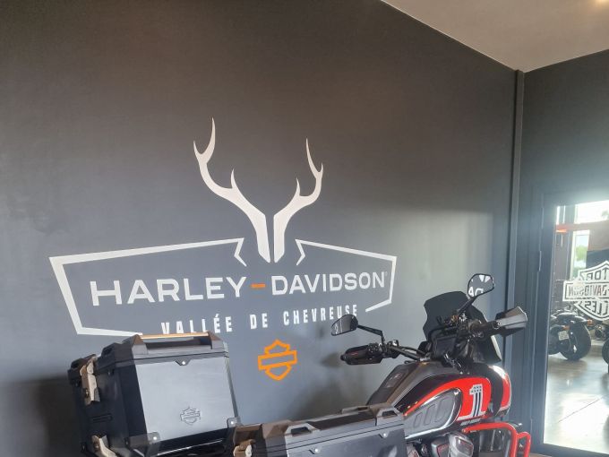 HARLEY-DAVIDSON ADVENTURE PAN AMERICA 1250 CVO 4