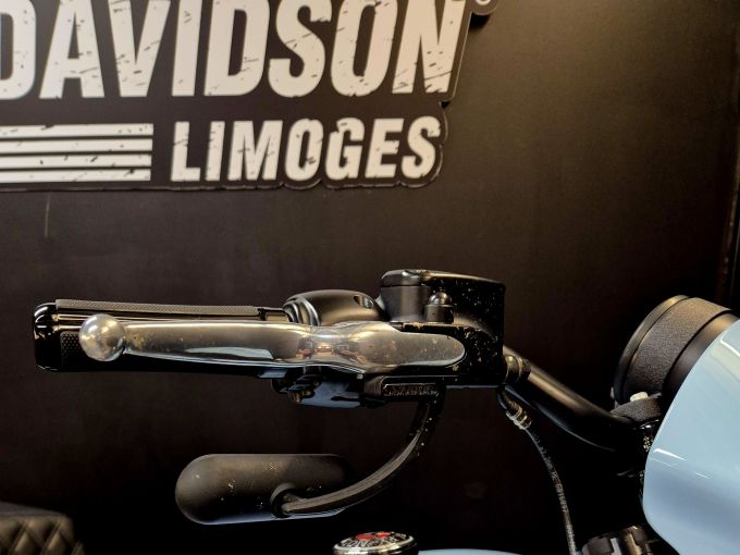 HARLEY-DAVIDSON SOFTAIL LOW RIDER 1923 S 4