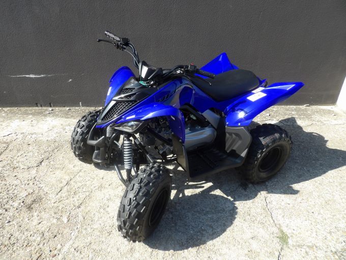 YAMAHA YFM RAPTOR 110 4