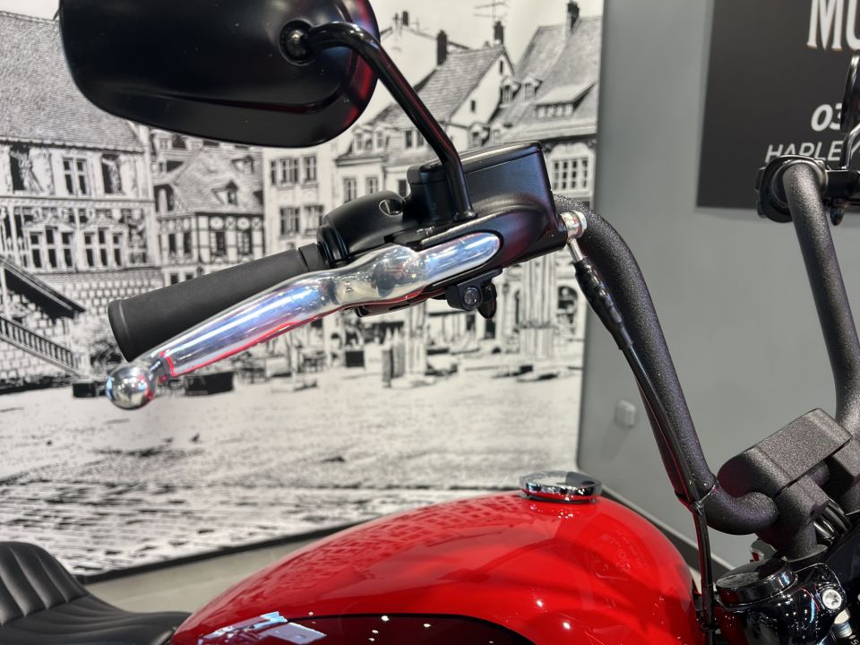 HARLEY-DAVIDSON SOFTAIL STREET BOB 1868 4