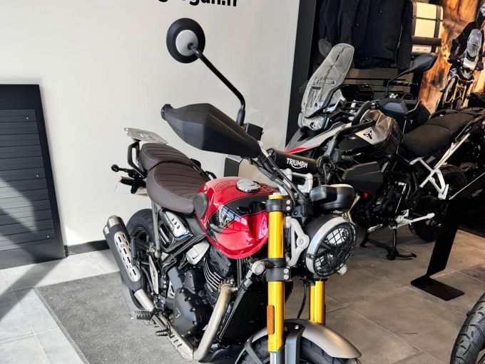 TRIUMPH Scrambler 400 X 4