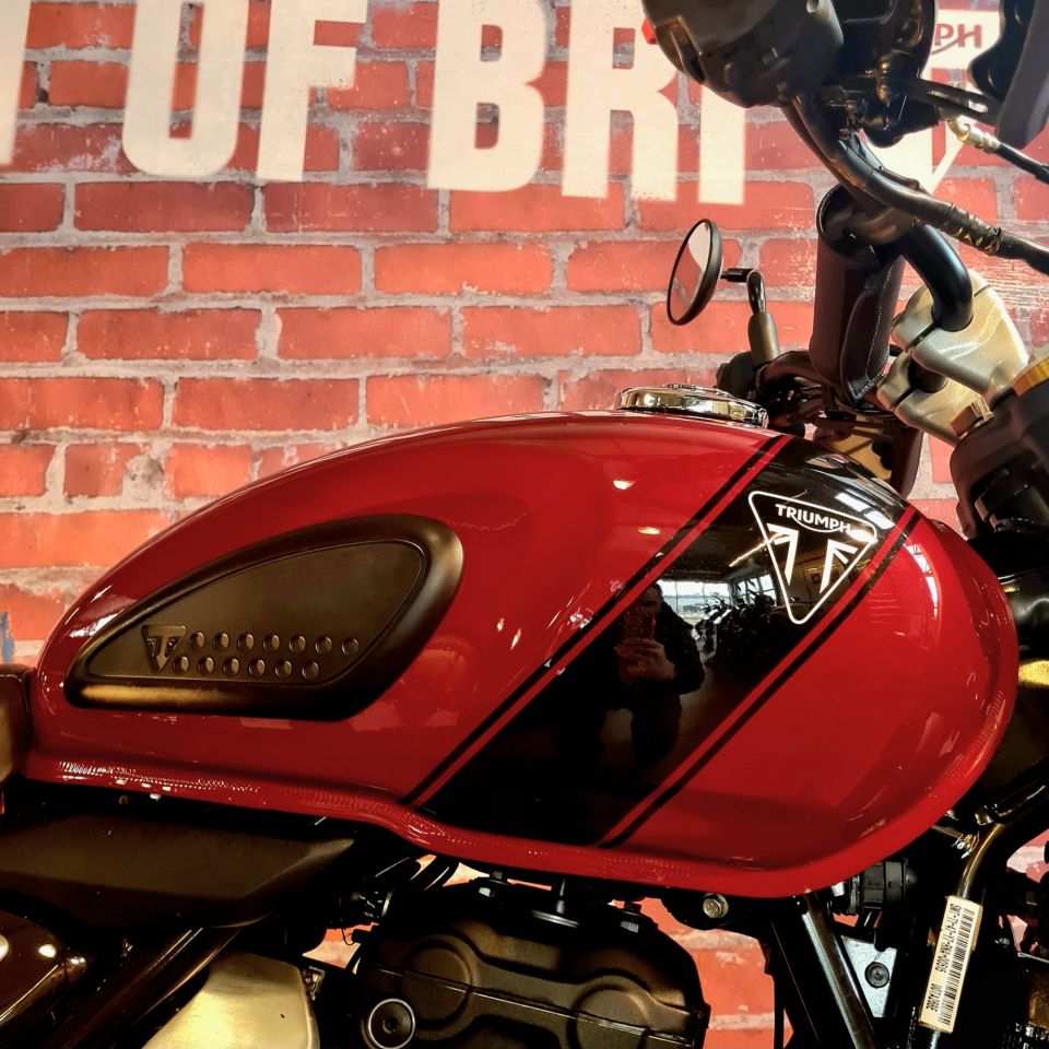 TRIUMPH Scrambler 400 X 4