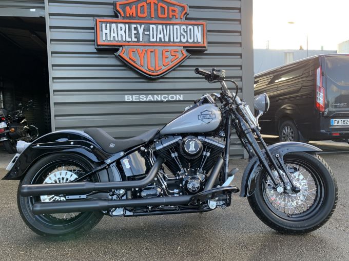 HARLEY-DAVIDSON SOFTAIL SPRINGER 1584 CROSS BONES 4