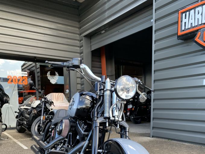 HARLEY-DAVIDSON SOFTAIL SPRINGER 1584 CROSS BONES 4