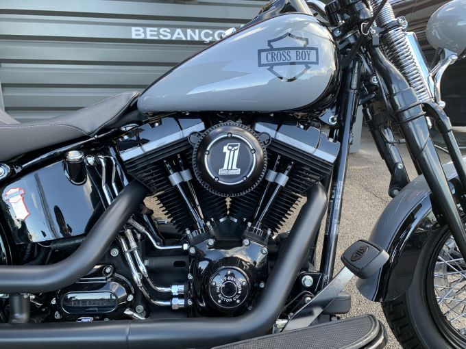 HARLEY-DAVIDSON SOFTAIL SPRINGER 1584 CROSS BONES 4