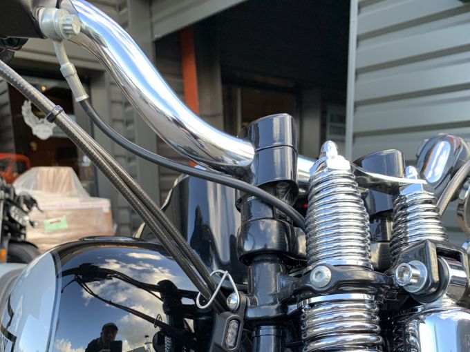 HARLEY-DAVIDSON SOFTAIL SPRINGER 1584 CROSS BONES 4