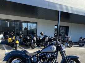 HARLEY-DAVIDSON SOFTAIL SPRINGER 1584 CROSS BONES - 2011