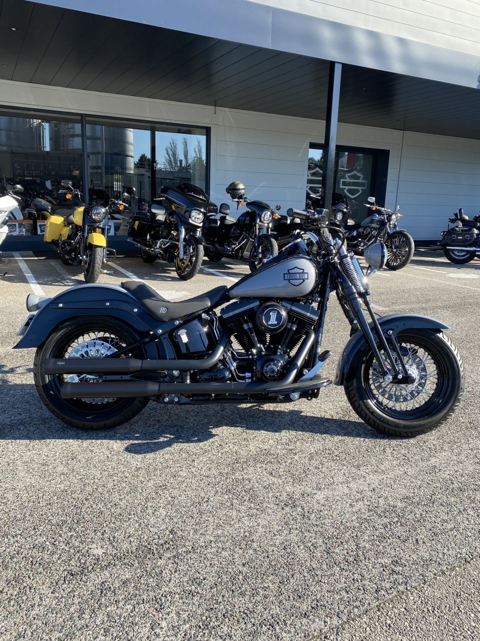 HARLEY-DAVIDSON SOFTAIL SPRINGER 1584 CROSS BONES 4